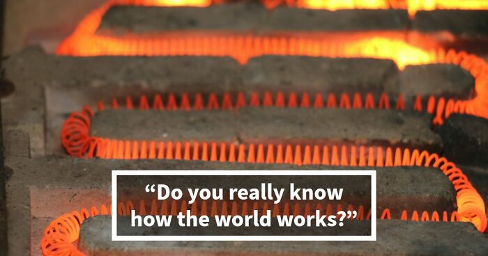 “Do You Understand How The World Works?”: Prove It In This 28-Question Science Quiz