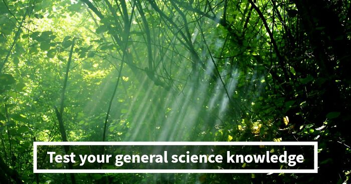 “Do You Understand How The World Works?”: Prove It In This 28-Question Science Quiz