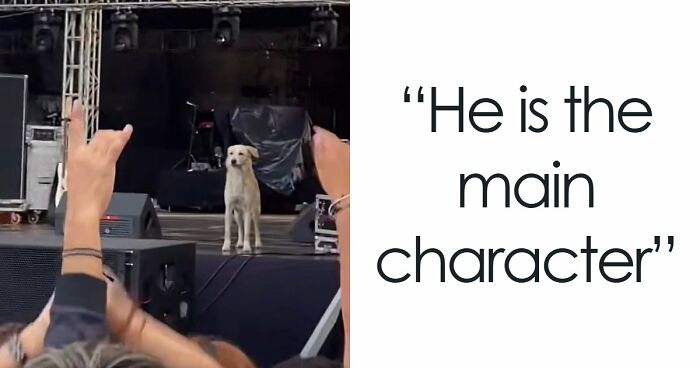 These 39 People Have A Severe, Seemingly Untreatable Case Of Main Character Syndrome