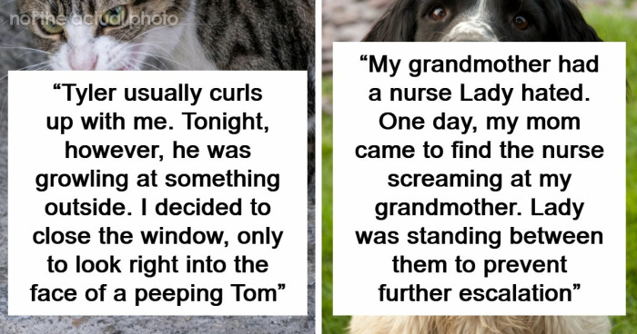 “That Dog Saved My Life”: 48 Survival Stories That Prove We Can’t Live Without Animals