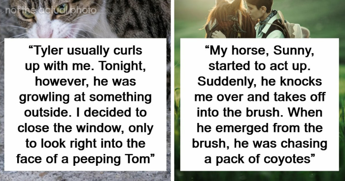 “That Dog Saved My Life”: 48 Survival Stories That Prove We Can’t Live Without Animals