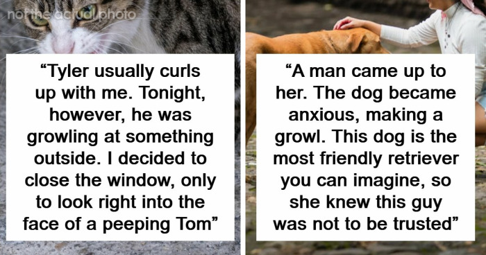 “That Dog Saved My Life”: 48 Survival Stories That Prove We Can’t Live Without Animals