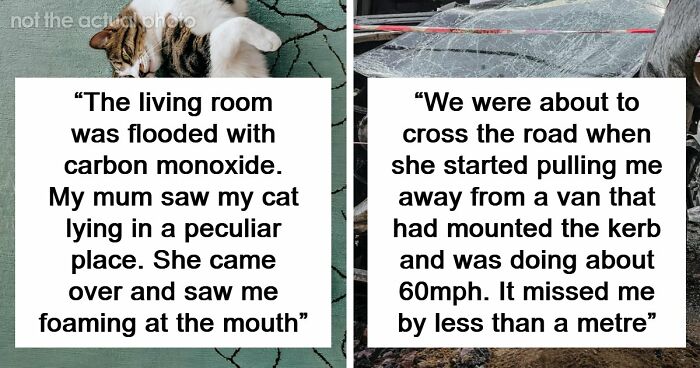 “That Dog Saved My Life”: 48 Survival Stories That Prove We Can’t Live Without Animals
