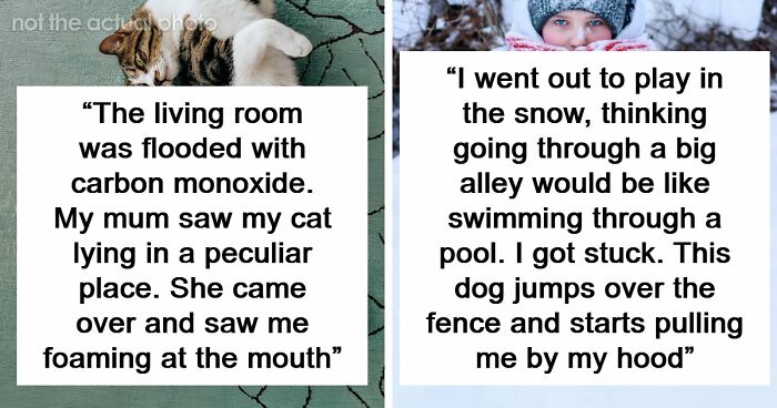 “That Dog Saved My Life”: 48 Survival Stories That Prove We Can’t Live Without Animals