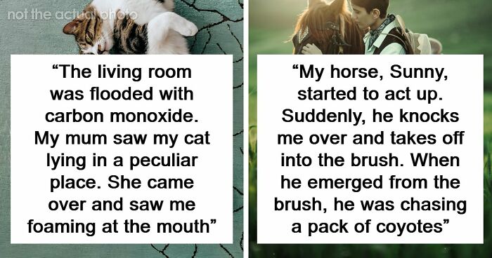 “That Dog Saved My Life”: 48 Survival Stories That Prove We Can’t Live Without Animals