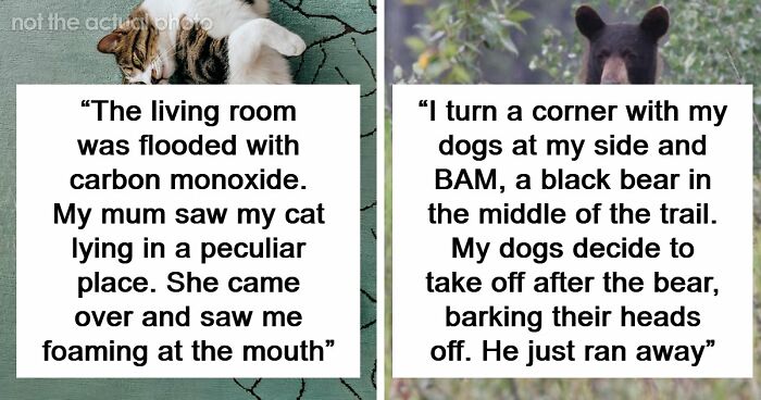“That Dog Saved My Life”: 48 Survival Stories That Prove We Can’t Live Without Animals