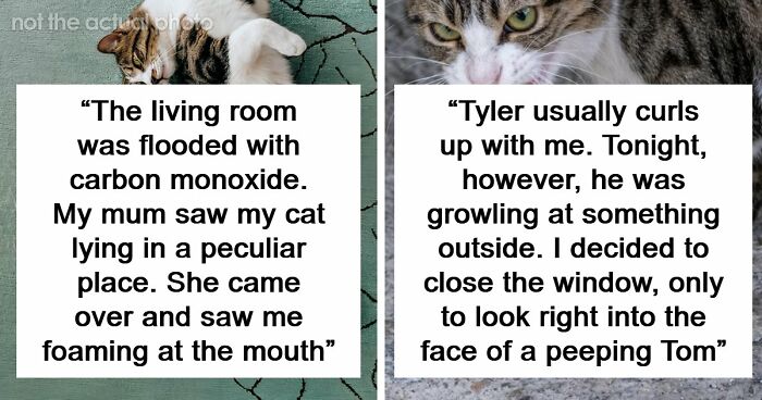 “That Dog Saved My Life”: 48 Survival Stories That Prove We Can’t Live Without Animals