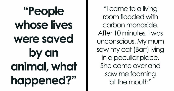 “That Dog Saved My Life”: 48 Survival Stories That Prove We Can’t Live Without Animals