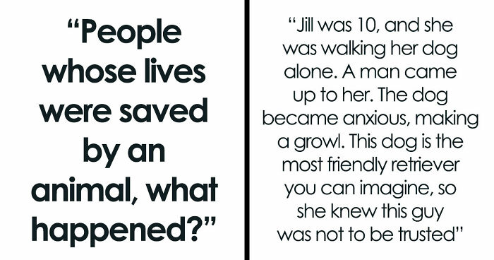 “That Dog Saved My Life”: 48 Survival Stories That Prove We Can’t Live Without Animals