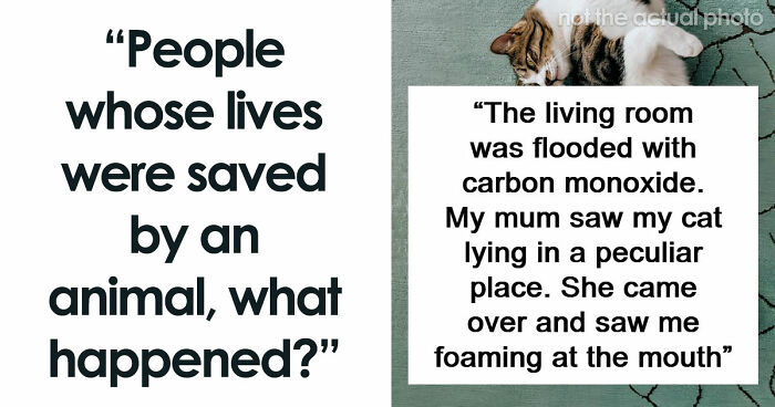 “That Dog Saved My Life”: 48 Survival Stories That Prove We Can’t Live Without Animals