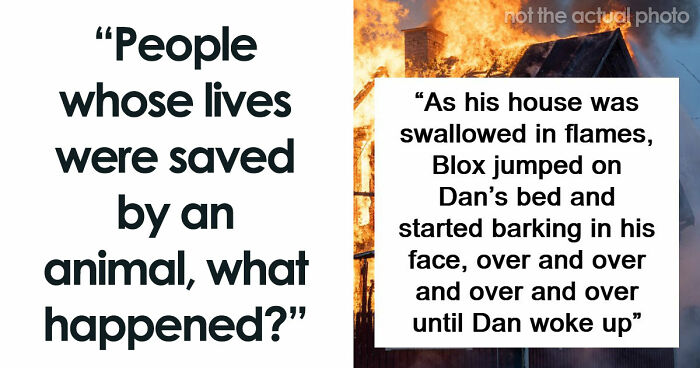 “That Dog Saved My Life”: 48 Survival Stories That Prove We Can’t Live Without Animals