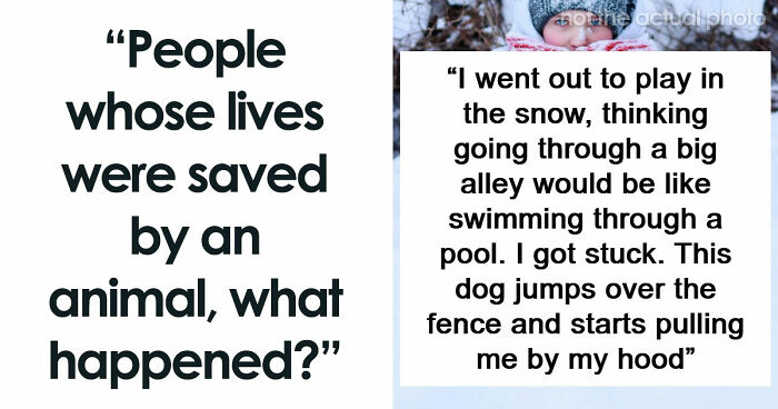 “That Dog Saved My Life”: 48 Survival Stories That Prove We Can’t Live Without Animals