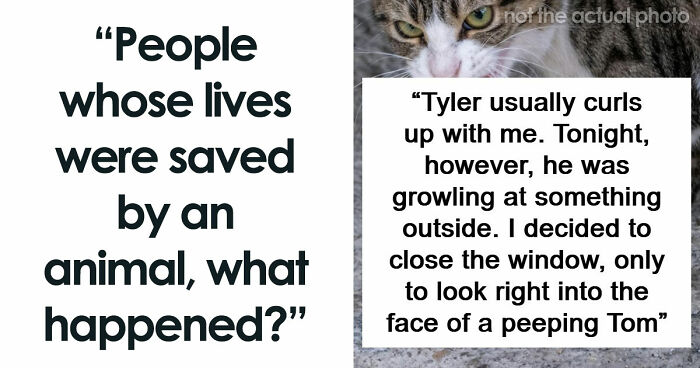 “That Dog Saved My Life”: 48 Survival Stories That Prove We Can’t Live Without Animals