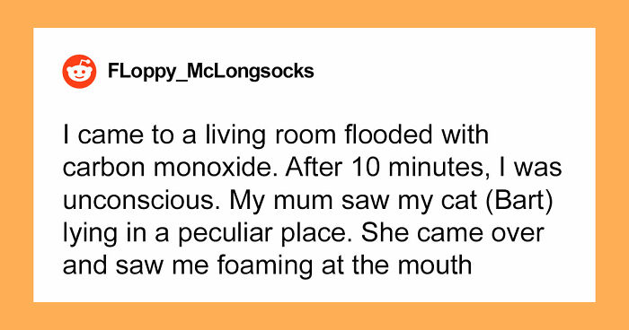 “That Dog Saved My Life”: 48 Survival Stories That Prove We Can’t Live Without Animals