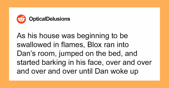 “That Dog Saved My Life”: 48 Survival Stories That Prove We Can’t Live Without Animals
