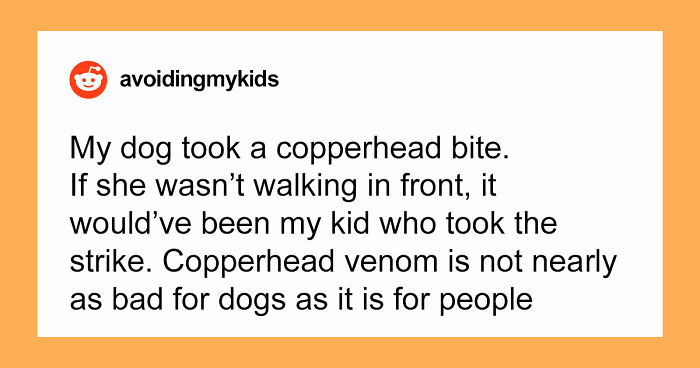 “That Dog Saved My Life”: 48 Survival Stories That Prove We Can’t Live Without Animals