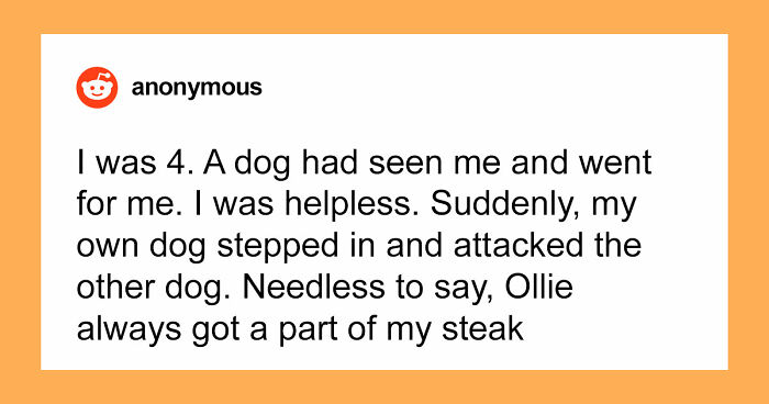 “That Dog Saved My Life”: 48 Survival Stories That Prove We Can’t Live Without Animals