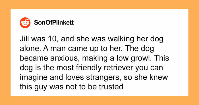 “That Dog Saved My Life”: 48 Survival Stories That Prove We Can’t Live Without Animals