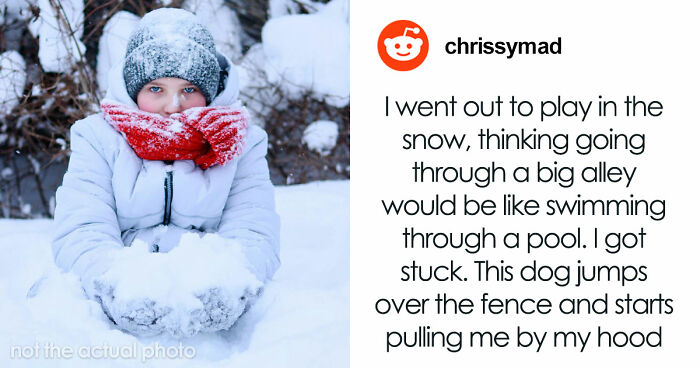 “That Dog Saved My Life”: 48 Survival Stories That Prove We Can’t Live Without Animals
