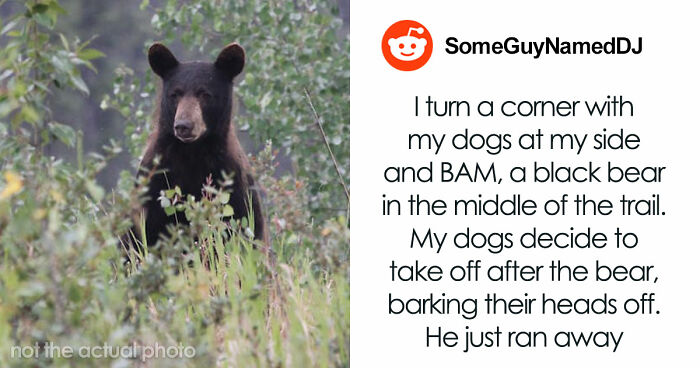 “That Dog Saved My Life”: 48 Survival Stories That Prove We Can’t Live Without Animals