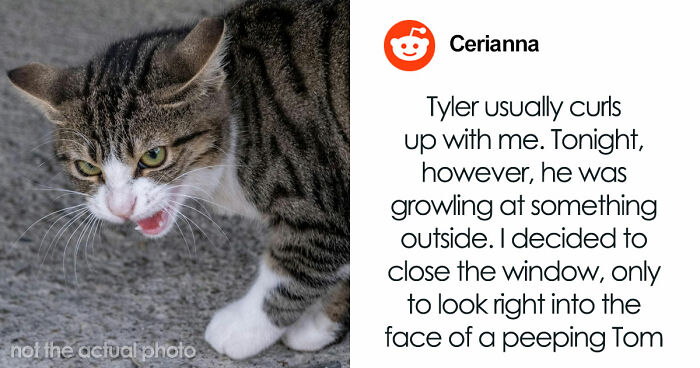 “That Dog Saved My Life”: 48 Survival Stories That Prove We Can’t Live Without Animals