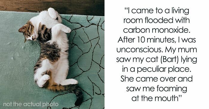 “That Dog Saved My Life”: 48 Survival Stories That Prove We Can’t Live Without Animals