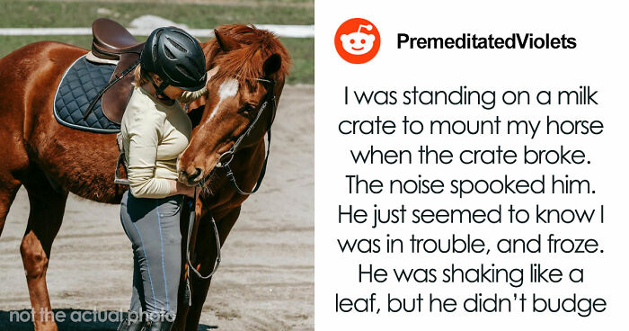 “That Dog Saved My Life”: 48 Survival Stories That Prove We Can’t Live Without Animals