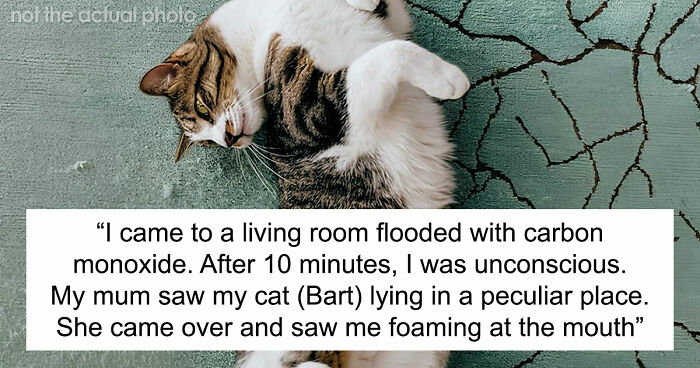 “That Dog Saved My Life”: 48 Survival Stories That Prove We Can’t Live Without Animals