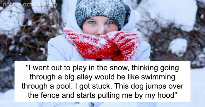 “That Dog Saved My Life”: 48 Survival Stories That Prove We Can’t Live Without Animals