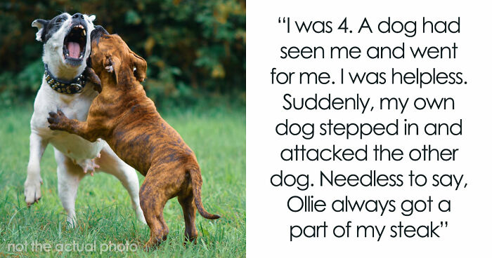 “That Dog Saved My Life”: 48 Survival Stories That Prove We Can’t Live Without Animals