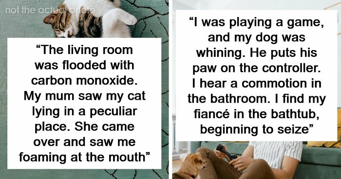 “That Dog Saved My Life”: 48 Survival Stories That Prove We Can’t Live Without Animals