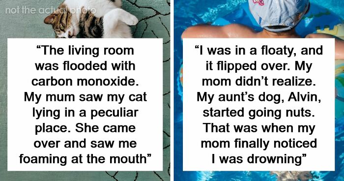 “That Dog Saved My Life”: 48 Survival Stories That Prove We Can’t Live Without Animals