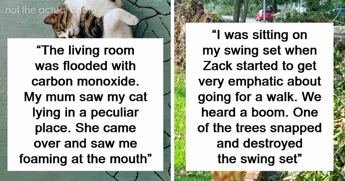 “That Dog Saved My Life”: 48 Survival Stories That Prove We Can’t Live Without Animals