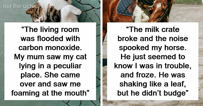 “That Dog Saved My Life”: 48 Survival Stories That Prove We Can’t Live Without Animals