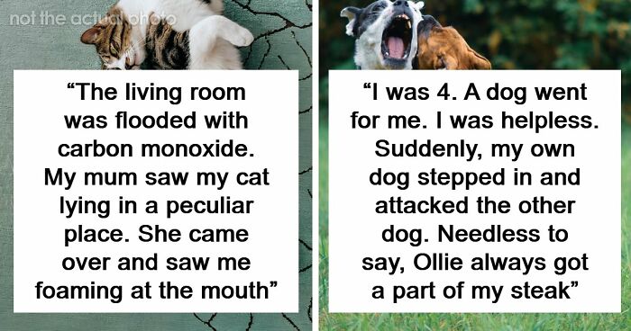 “That Dog Saved My Life”: 48 Survival Stories That Prove We Can’t Live Without Animals