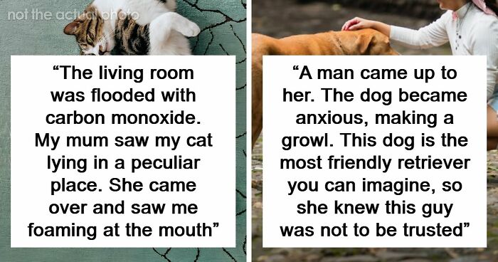 “That Dog Saved My Life”: 48 Survival Stories That Prove We Can’t Live Without Animals