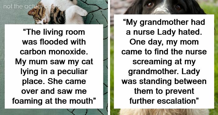 “That Dog Saved My Life”: 48 Survival Stories That Prove We Can’t Live Without Animals