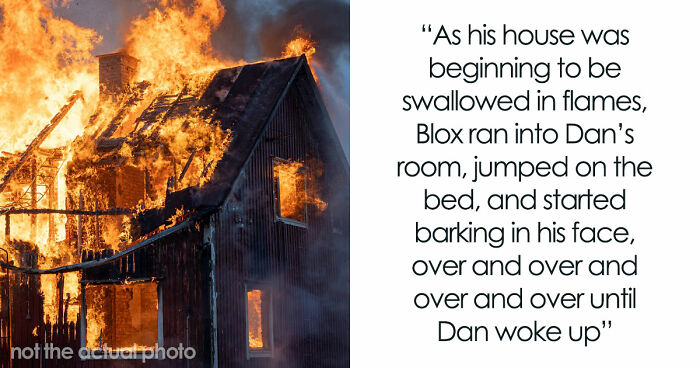 “That Dog Saved My Life”: 48 Survival Stories That Prove We Can’t Live Without Animals