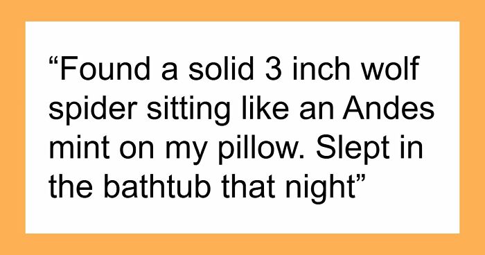 “It Was Terrifying In The Moment”: 42 Creepy Experiences People Had While Home Alone