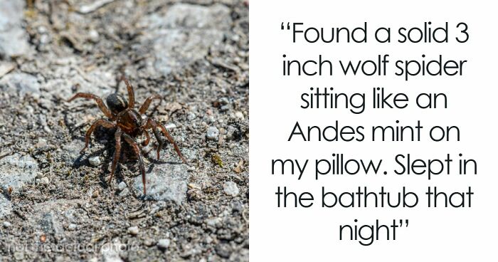 “It Was Terrifying In The Moment”: 42 Creepy Experiences People Had While Home Alone