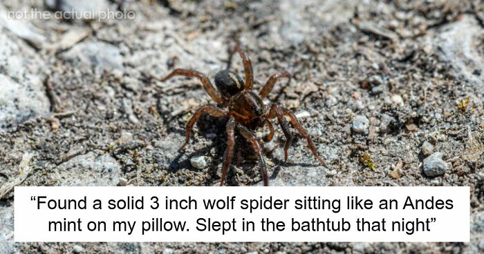 “Slept In The Bathtub That Night”: 42 Real And False Alarms People Got Scared Of While Staying Home Alone