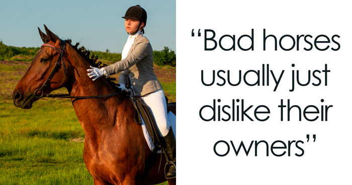 60 Fun Facts That Professionals Shared From Their Area Of Expertise