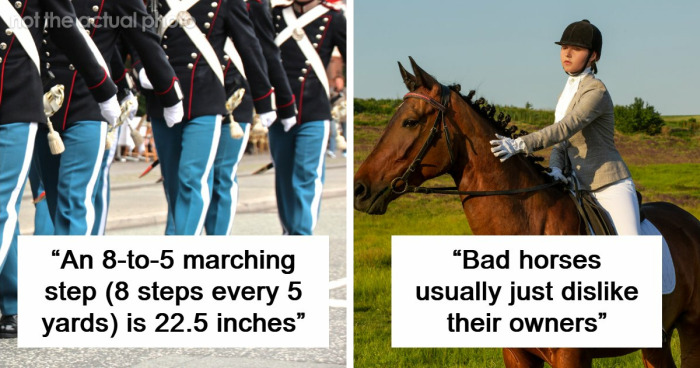 60 Fun Facts That Professionals Shared From Their Area Of Expertise