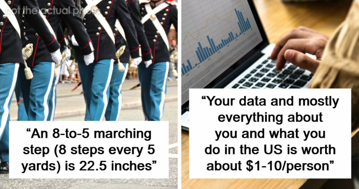 60 Fun Facts That Professionals Shared From Their Area Of Expertise