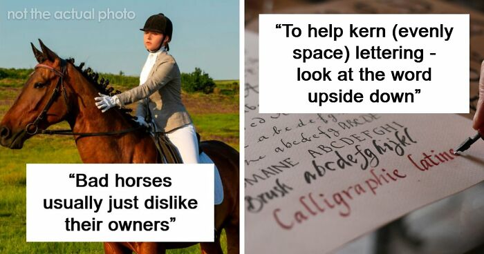 60 Fun Facts That Professionals Shared From Their Area Of Expertise
