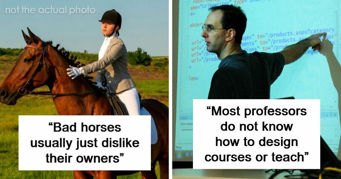 60 Fun Facts That Professionals Shared From Their Area Of Expertise