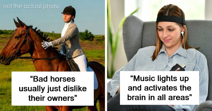 60 Fun Facts That Professionals Shared From Their Area Of Expertise