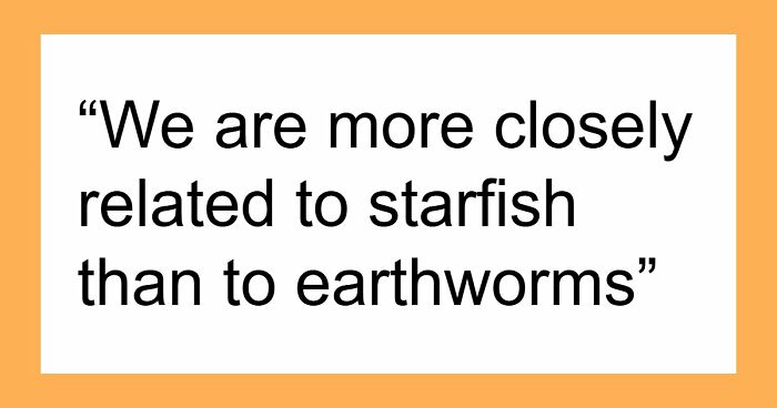 60 Fun Facts That Professionals Shared From Their Area Of Expertise