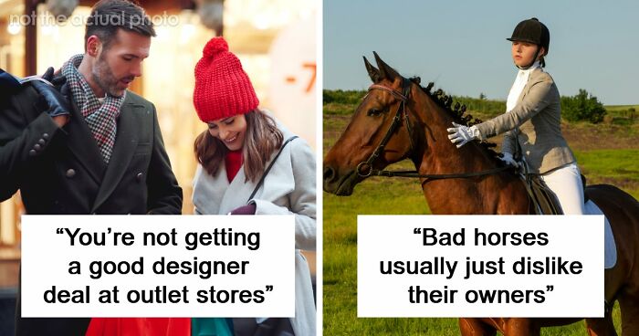 60 Fun Facts That Professionals Shared From Their Area Of Expertise