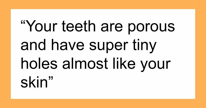 60 Fun Facts That Professionals Shared From Their Area Of Expertise